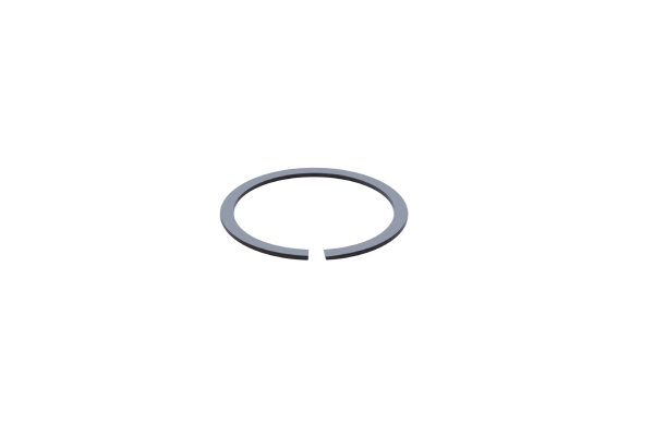 Snap Rings